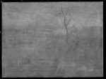 main image 61