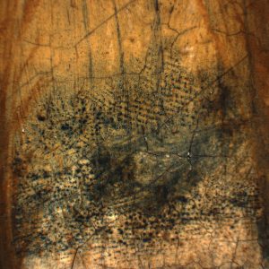 main image 65